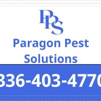 Paragon Pest Solutions ico