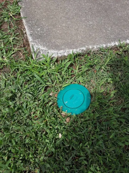 A-1 Pest Control Picture 1