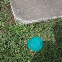 A-1 Pest Control ico