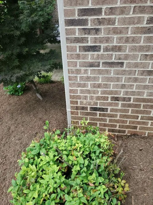 A-1 Pest Control Picture 10