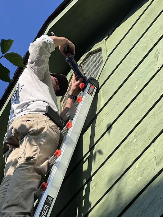 Blue Ridge Mountain Pest Control Picture 5