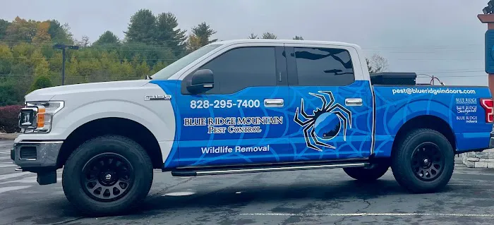 Blue Ridge Mountain Pest Control Picture 2