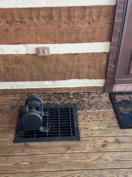 Blue Ridge Mountain Pest Control Picture 4