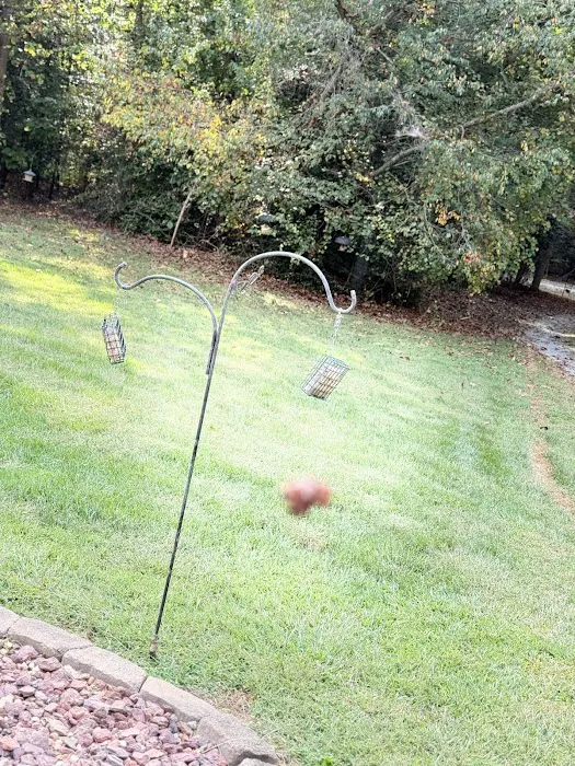 A-1 Pest Control Picture 3