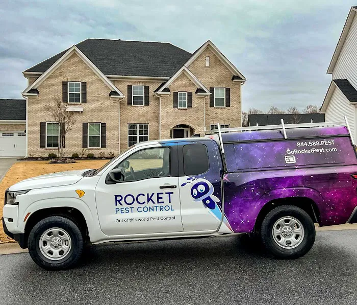 Rocket Pest Control Picture 3