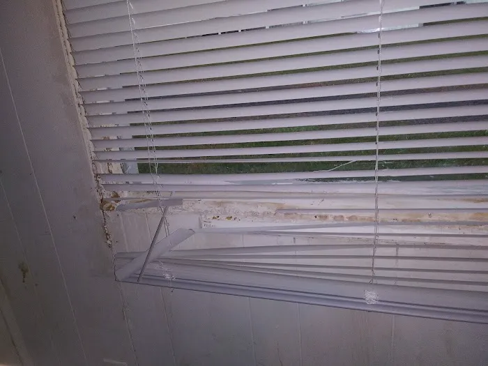 Rocket Pest Control Picture 2
