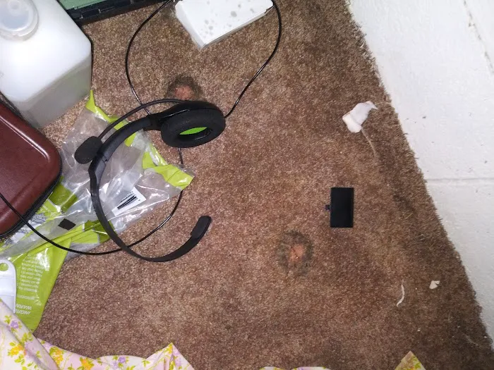 Rocket Pest Control Picture 1