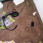 Rocket Pest Control