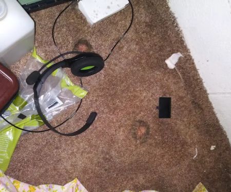 Rocket Pest Control