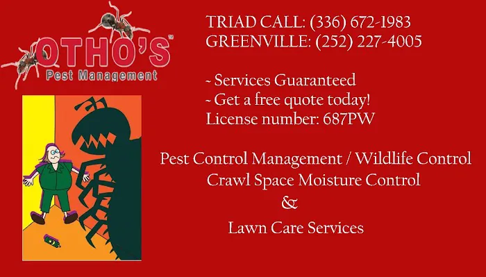 Rocket Pest Control Picture 6
