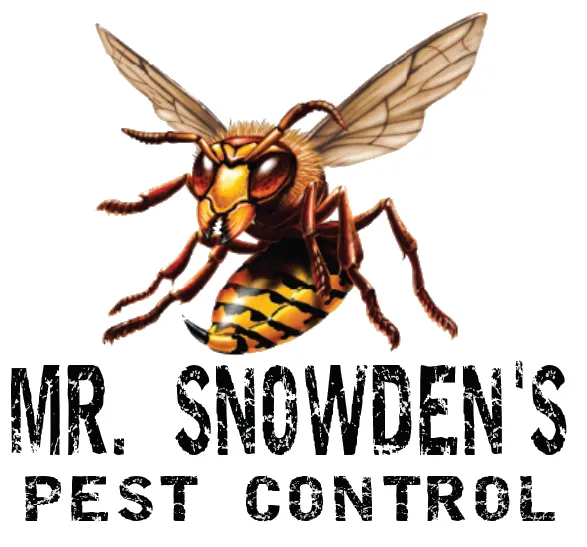 Mr. Snowden's Pest Control Picture 2