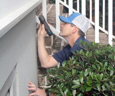Albemarle Termite & Pest Control , Inc