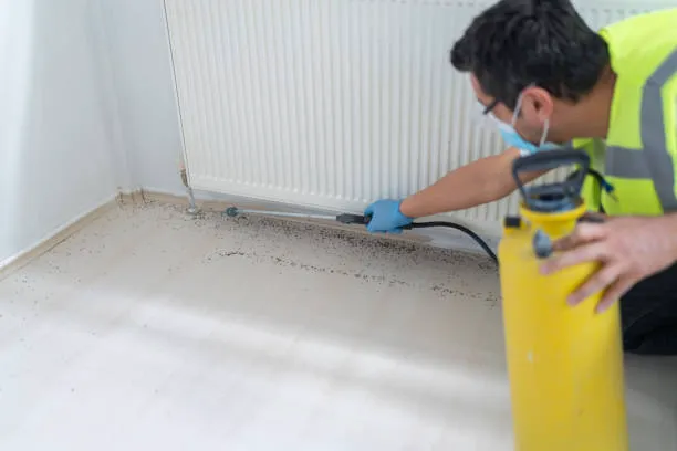 Pro Pest Control Elizabeth Experts Picture 4
