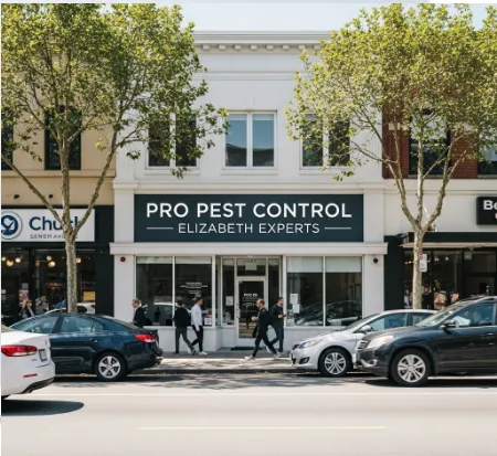 Pro Pest Control Elizabeth Experts Picture 1