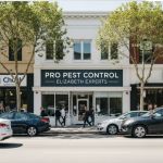 Pro Pest Control Elizabeth Experts