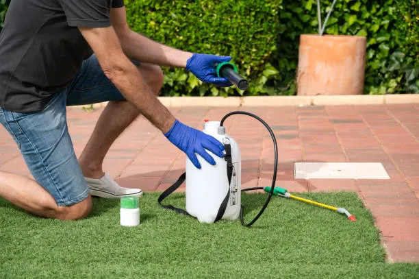 Pro Pest Control Elizabeth Experts Picture 3