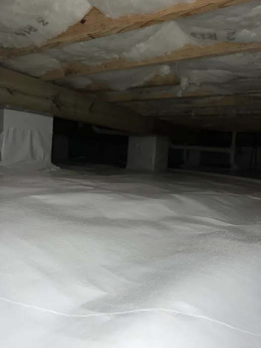 Allegiant Pest Control Picture 5