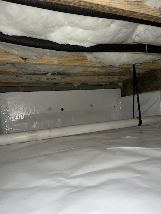 Allegiant Pest Control Picture 1
