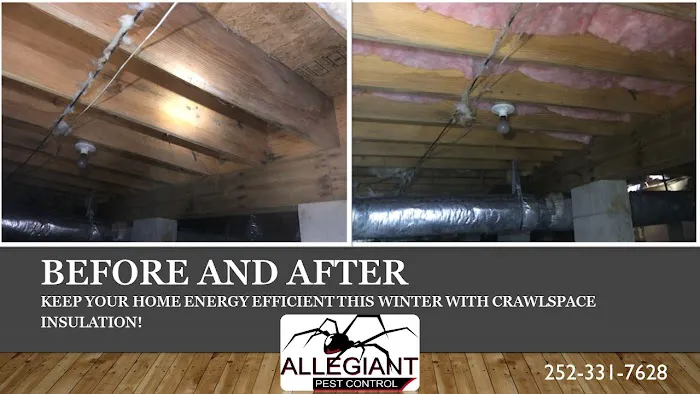 Allegiant Pest Control Picture 4