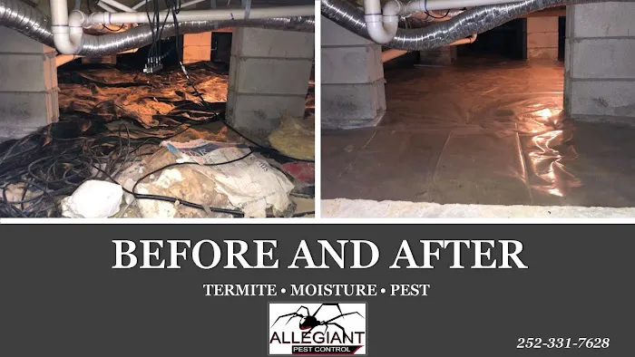 Allegiant Pest Control Picture 9