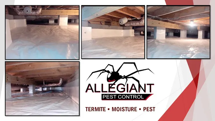 Allegiant Pest Control Picture 6