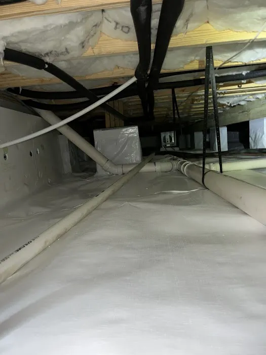 Allegiant Pest Control Picture 3