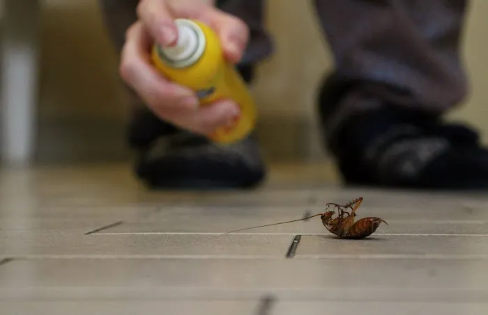 Masonic Temple Pest Control Picture 9