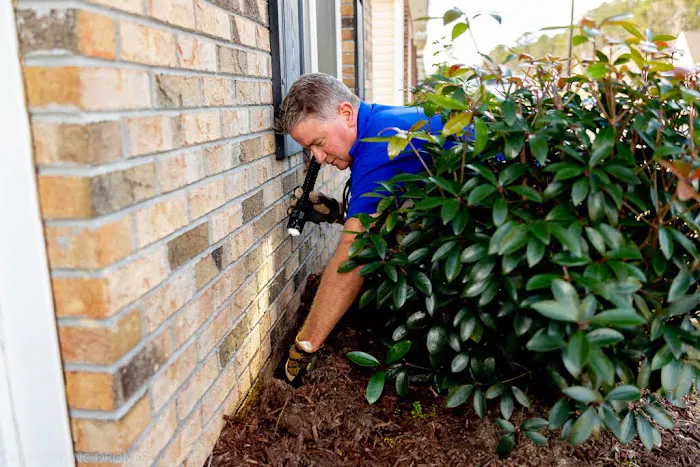 Eastline Pest Management Picture 2