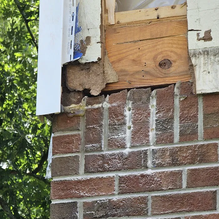 Bug-N-A-Rug Exterminators Picture 1