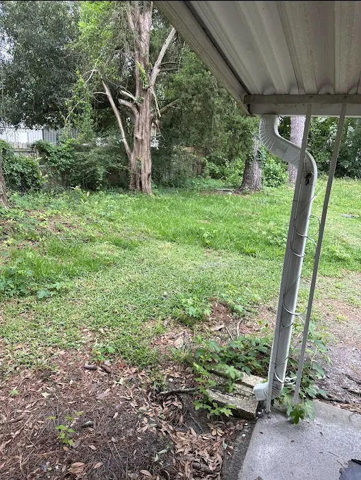 Anthony's Professional Services/Landscaping And Lawn Maintenance Picture 2