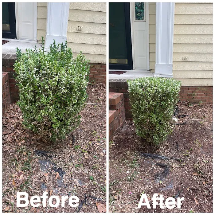 Big 5 Lawncare Picture 8
