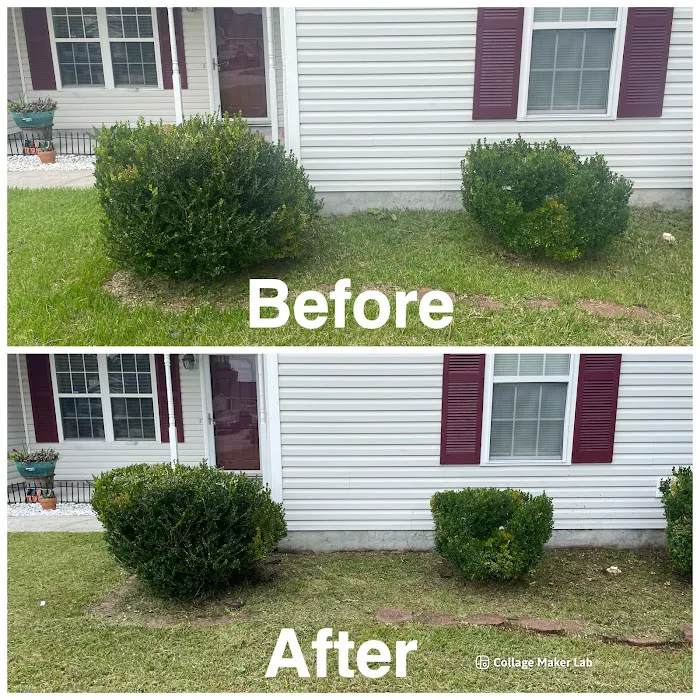 Big 5 Lawncare Picture 3