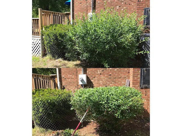 Big 5 Lawncare Picture 7