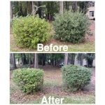Big 5 Lawncare