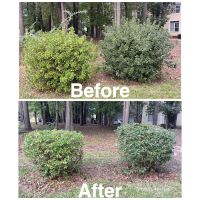 Big 5 Lawncare ico