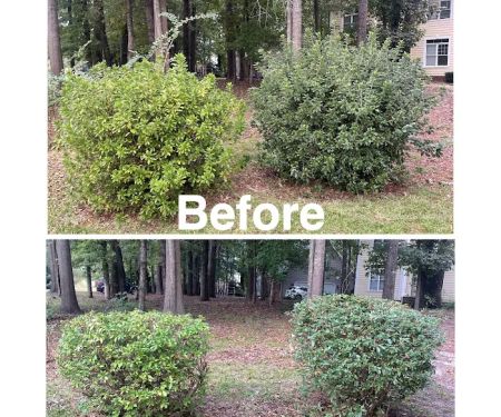 Big 5 Lawncare