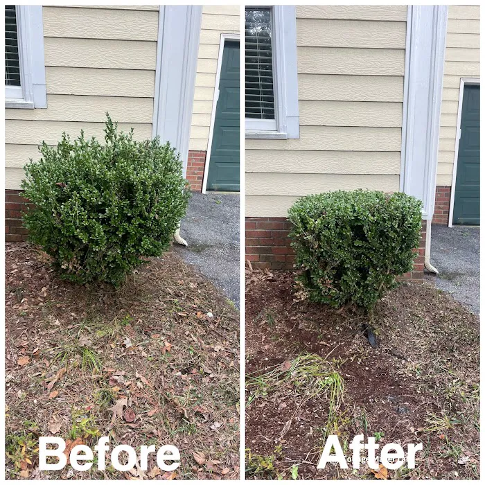 Big 5 Lawncare Picture 6