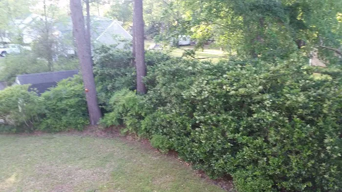 Cut & Clean Lawn Care Inc. Picture 1