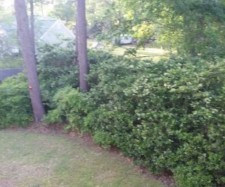 Cut & Clean Lawn Care Inc.
