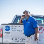 Beach Pest Service