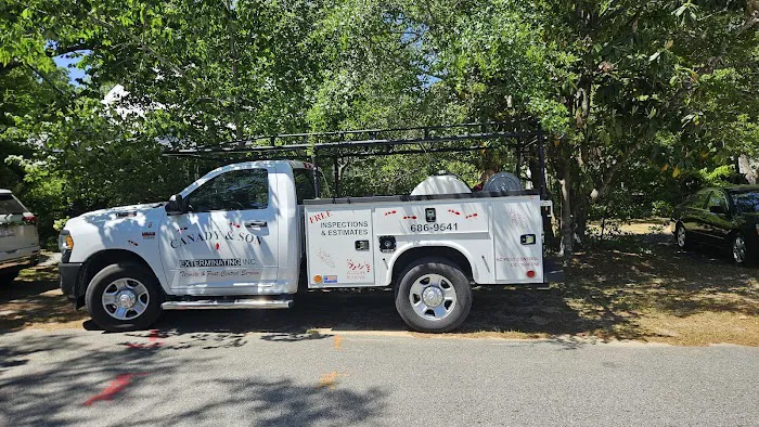 Canady & Son Exterminating Inc Picture 5
