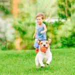 Mosquito Squad of The Sandhills