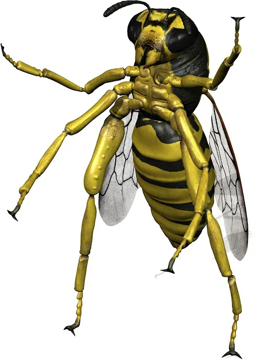 Master Exterminators Picture 7