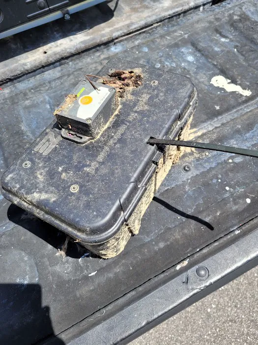 St. Peter Pest Control Picture 2