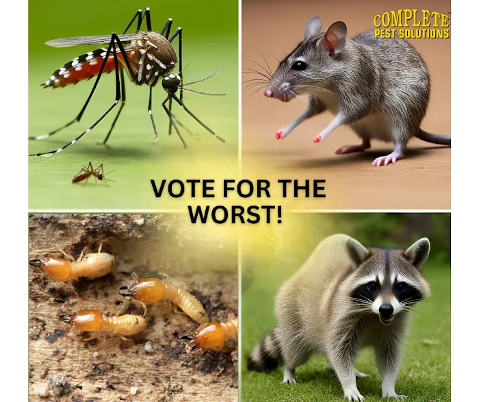 Complete Pest Solutions of Fayetteville N.C. Picture 8