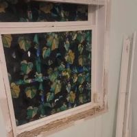Canady's Termite & Pest Control ico