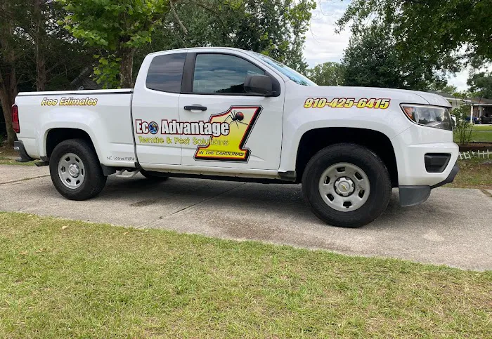 Eco Advantage Termite and Pest Solutions Picture 7