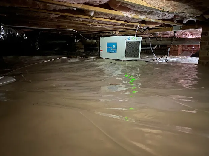 Eco Advantage Termite and Pest Solutions Picture 9