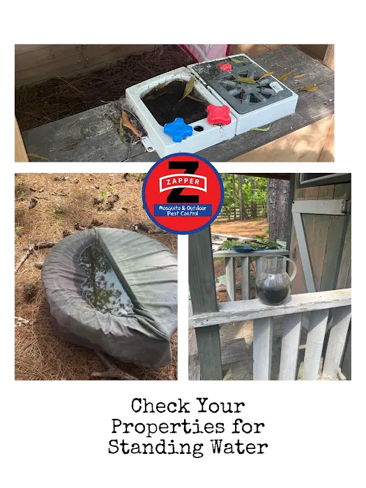 Zapper Mosquito & Outdoor Pest Control Picture 9
