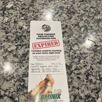 Terminix ico